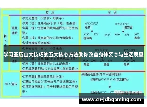 学习亚历山大技巧的五大核心方法助你改善身体姿态与生活质量